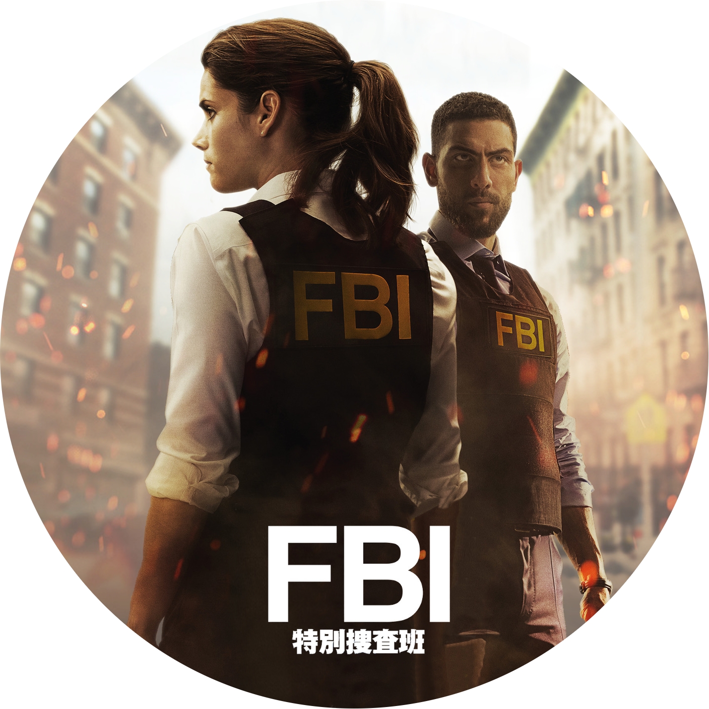 「FBI：特別捜査班」のDVDラベル meechanmama(みーちゃんママ)の部屋